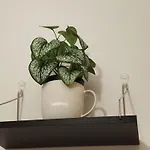 Mami Apartment